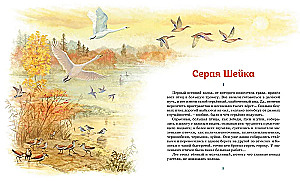 Szara szyjka. Opowiadania