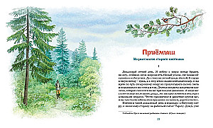 Szara szyjka. Opowiadania