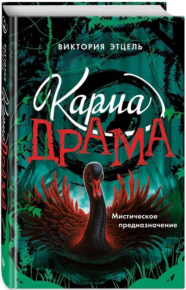 Karma-Drama. Mystisches Schicksal. Buch 2