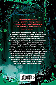 Karma-Drama. Mystisches Schicksal. Buch 2