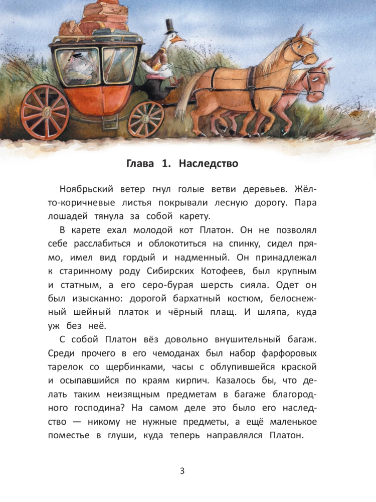 Kot Platon i tajemnica białych os