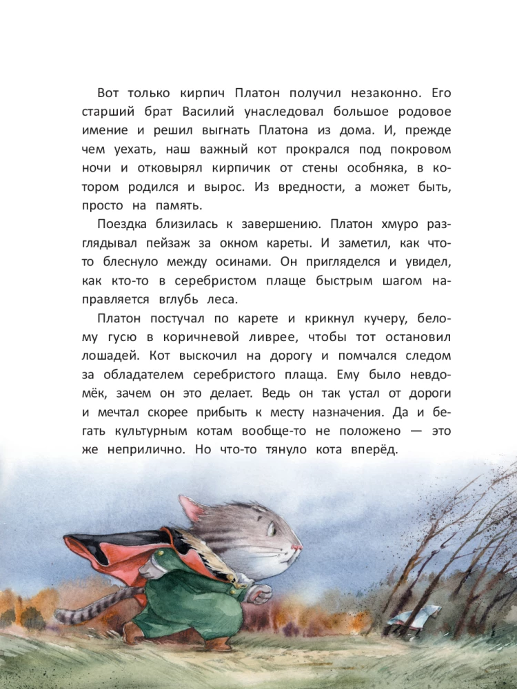 Kot Platon i tajemnica białych os
