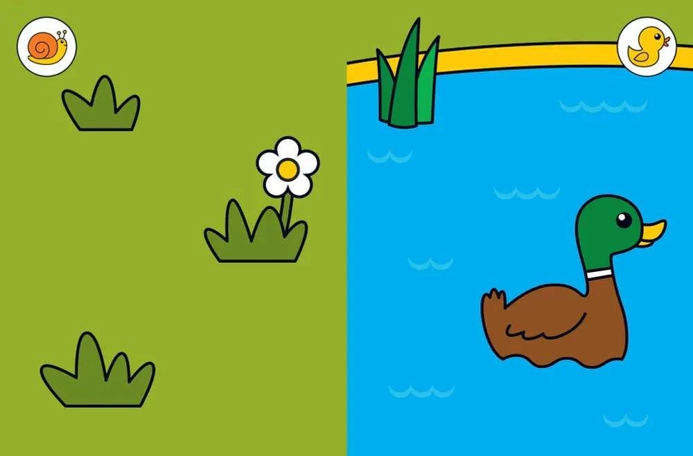 Quak! Am Teich