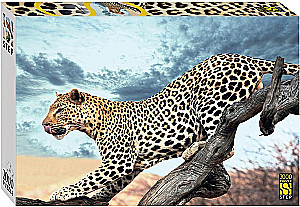 Pusle 2000 - Leopardi looduses