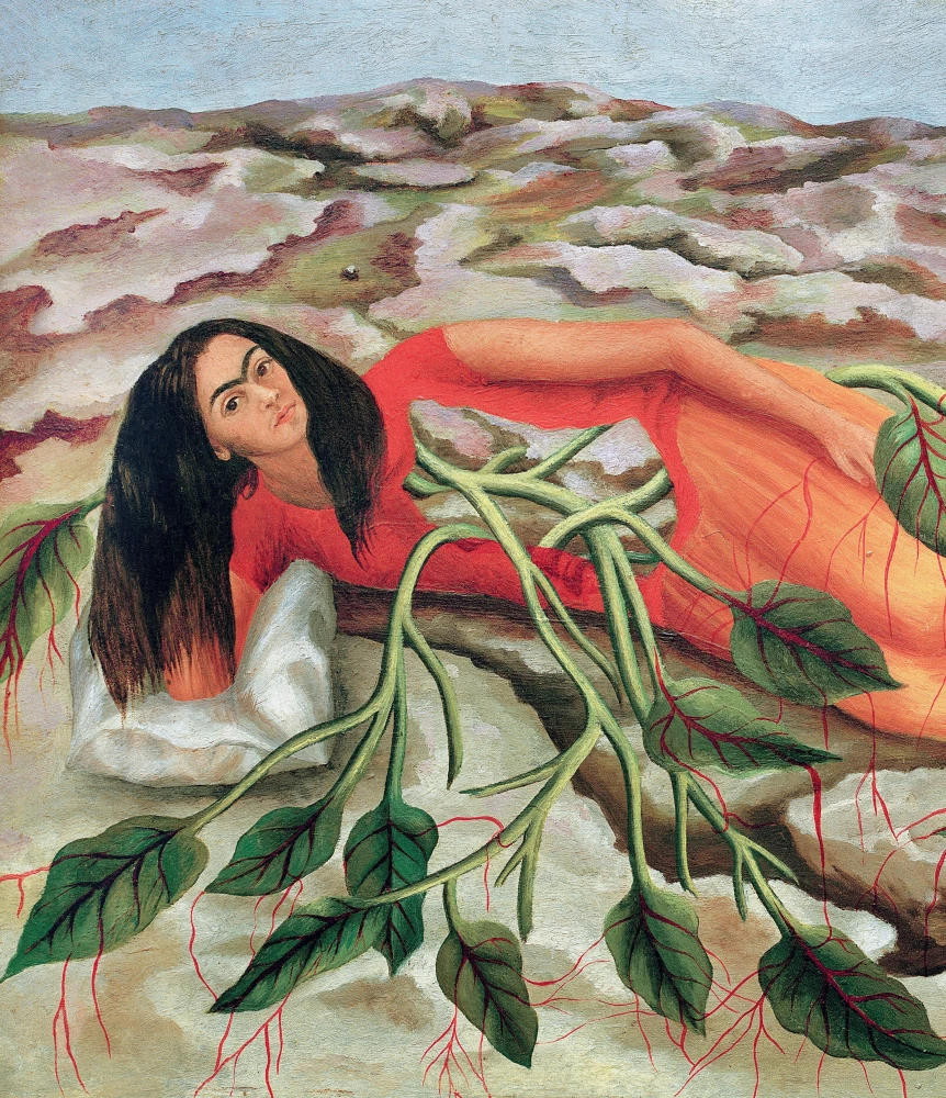 Frida's Stories: The Life and Adventures of Frida Kahlo, the Rebel and Outcast