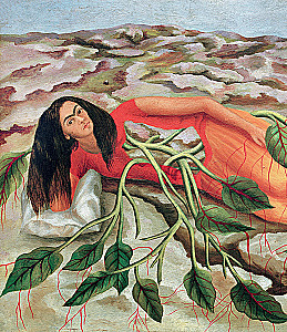 Frida's Stories: The Life and Adventures of Frida Kahlo, the Rebel and Outcast
