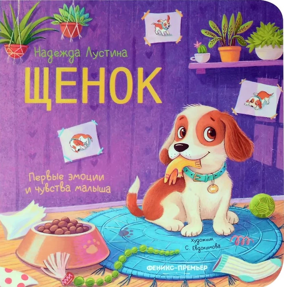 Puppy