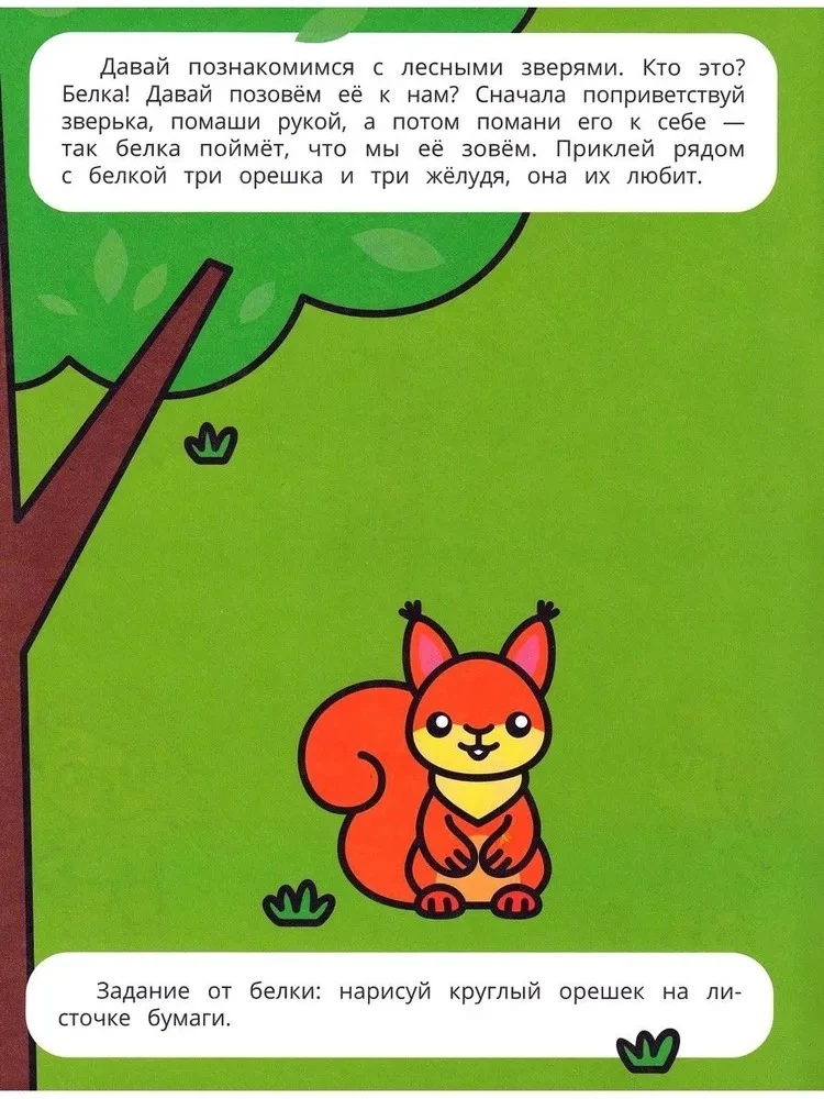 Spaziergang im Wald. Stickerbuch