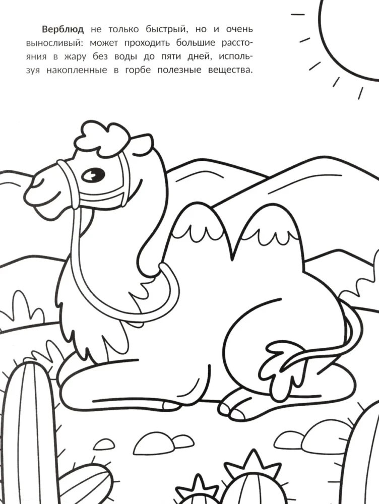 Die schnellsten: Malbuch