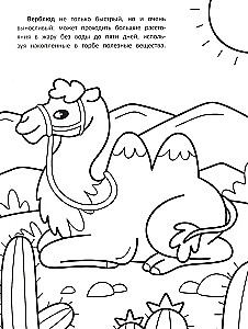 Die schnellsten: Malbuch