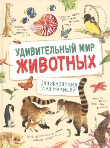 Renne The Amazing World of Animals. Encyclopedia for Toddlers