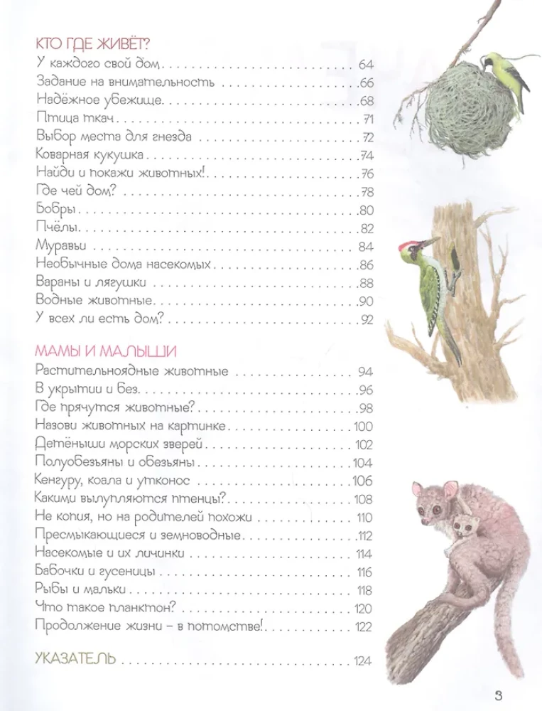 Renner Die wunderbare Welt der Tiere. Enzyklopädie für Kleinkinder