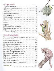 Renner Die wunderbare Welt der Tiere. Enzyklopädie für Kleinkinder