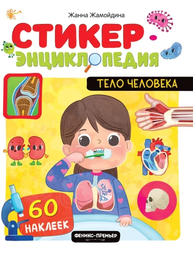 Тело человека