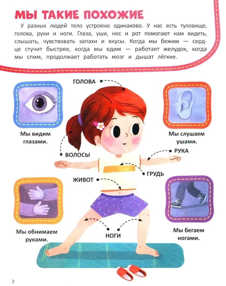 Тело человека