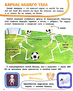 Тело человека
