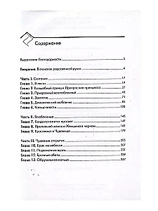Kelyje į santuoką. Meilės santykių transformacija