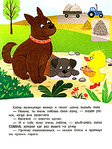 Pīlēns fermā! Grāmata ar uzlīmēm