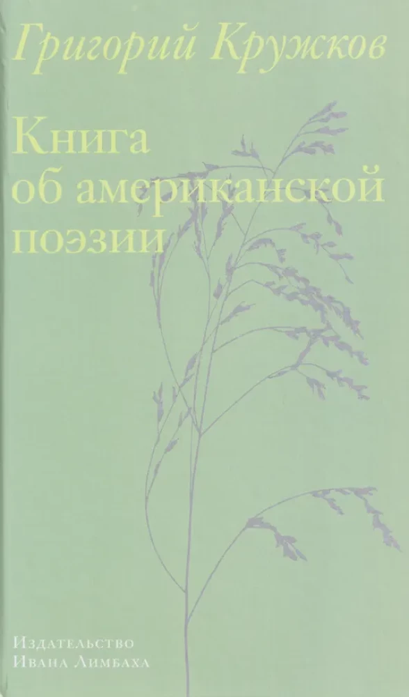 Knyga apie amerikiečių poeziją