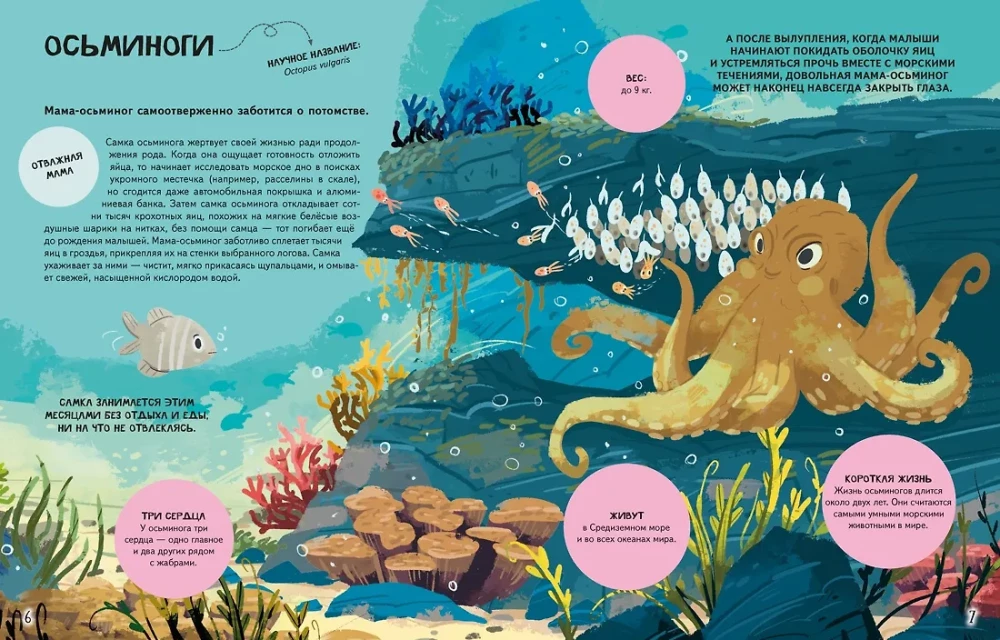 The Family in the Animal World. Love, Care, and Upbringing in the Wild