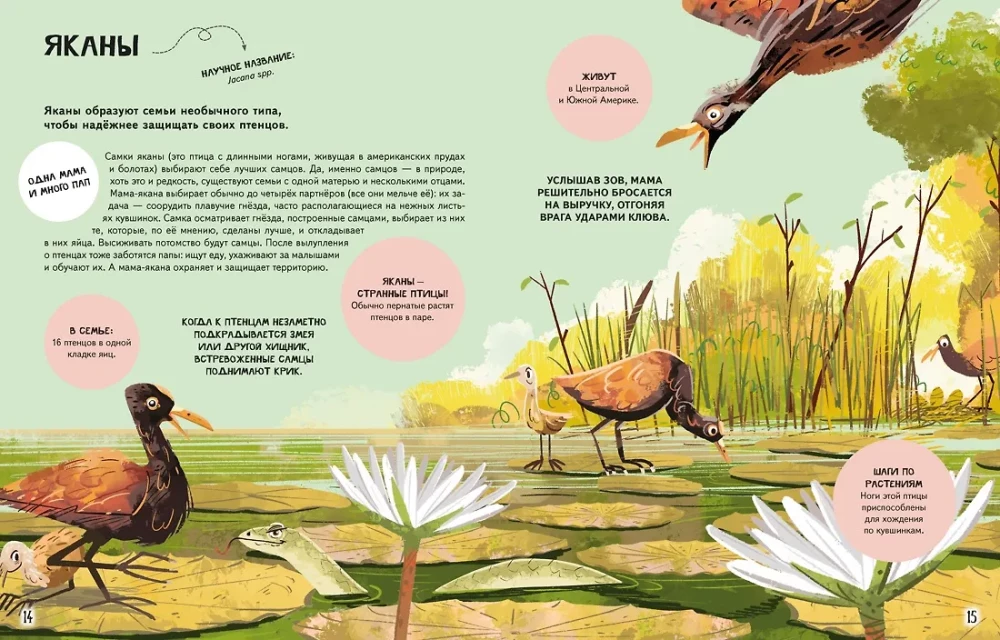 The Family in the Animal World. Love, Care, and Upbringing in the Wild