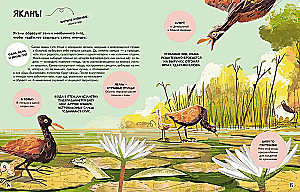 The Family in the Animal World. Love, Care, and Upbringing in the Wild