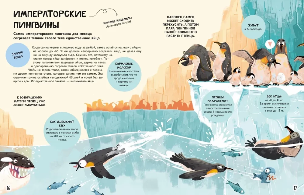 The Family in the Animal World. Love, Care, and Upbringing in the Wild