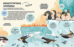 The Family in the Animal World. Love, Care, and Upbringing in the Wild