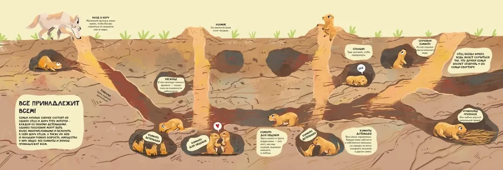 The Family in the Animal World. Love, Care, and Upbringing in the Wild