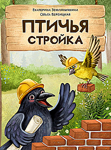 Budowa ptaków