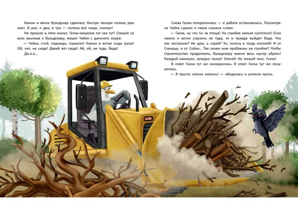 Budowa ptaków