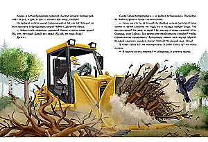 Budowa ptaków
