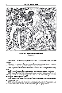 Библия. Ветхий завет книга 1 и 2. Новый завет