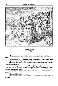 Библия. Ветхий завет книга 1 и 2. Новый завет