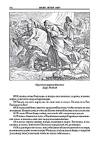 Библия. Ветхий завет книга 1 и 2. Новый завет