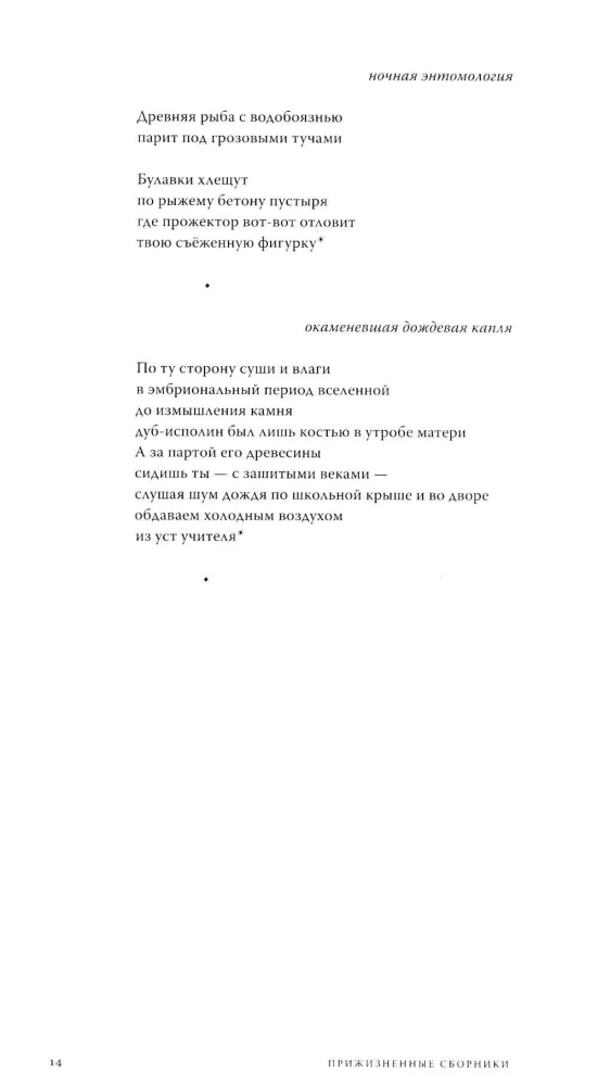 Nykimas lygu kūrimui. Eilėraščiai ir esė