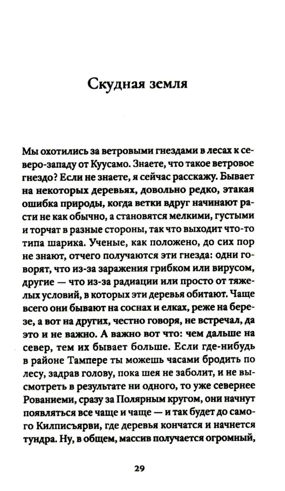 Sonetas su netaisyklinga rimuote. Pasakojimai