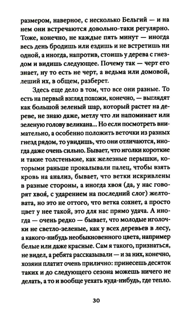 Sonetas su netaisyklinga rimuote. Pasakojimai