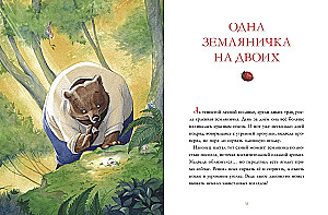 Лесные дедушкины сказки