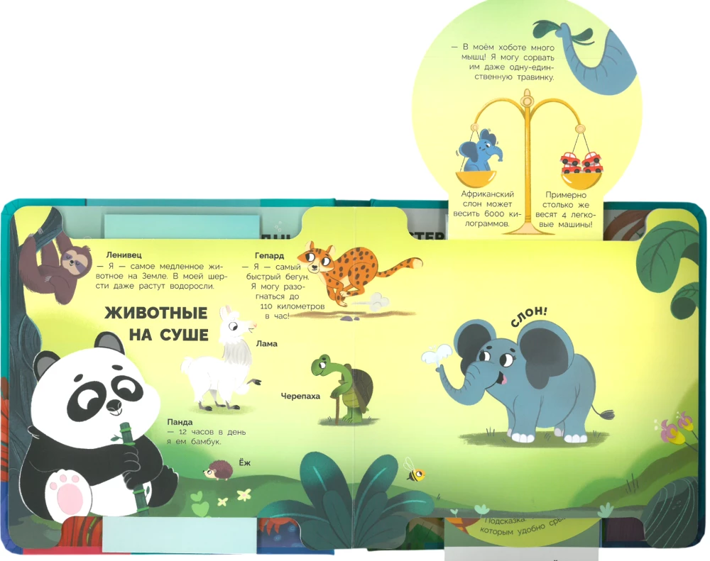 Animals