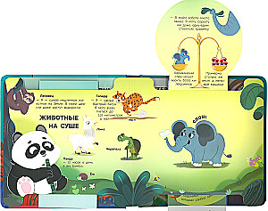 Animals