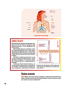 Anatomie des Singens: Grundlagen der Gesangstechnik
