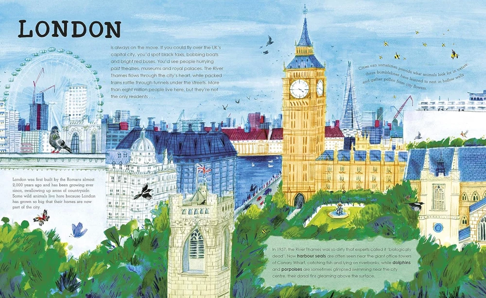 Wild Cities