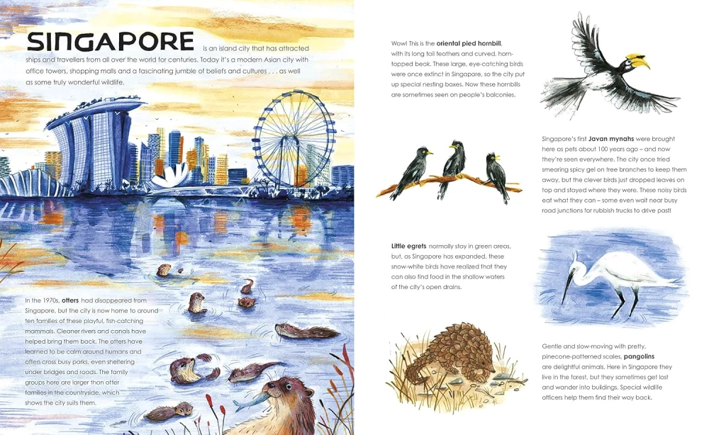 Wild Cities