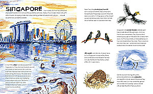 Wild Cities