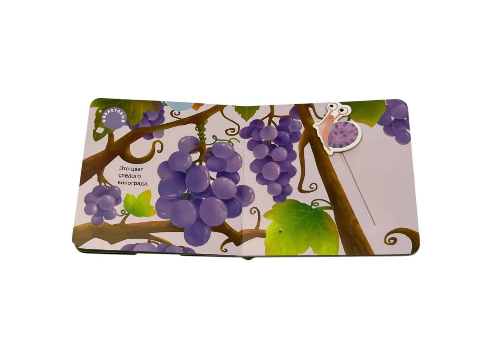 Interactive Book for Toddlers - Different Colors