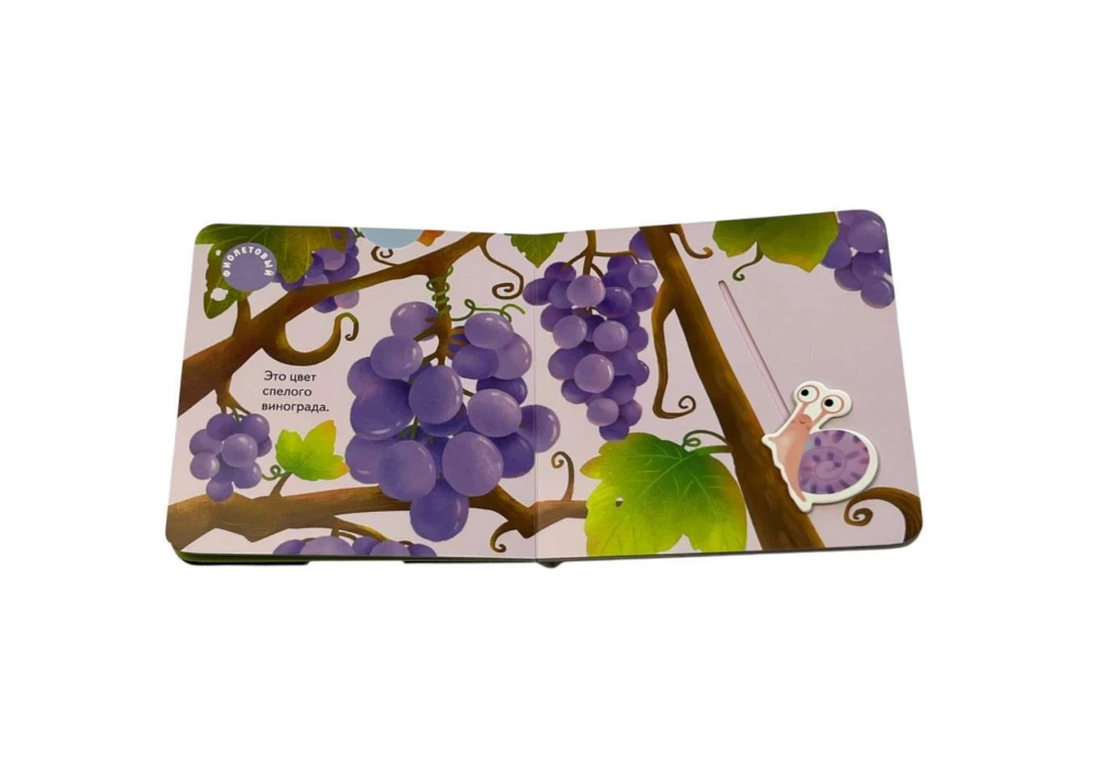 Interactive Book for Toddlers - Different Colors