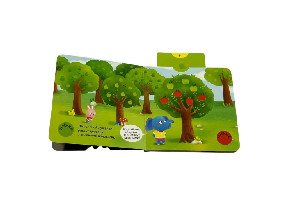 Interactive Book for Toddlers - Different Colors