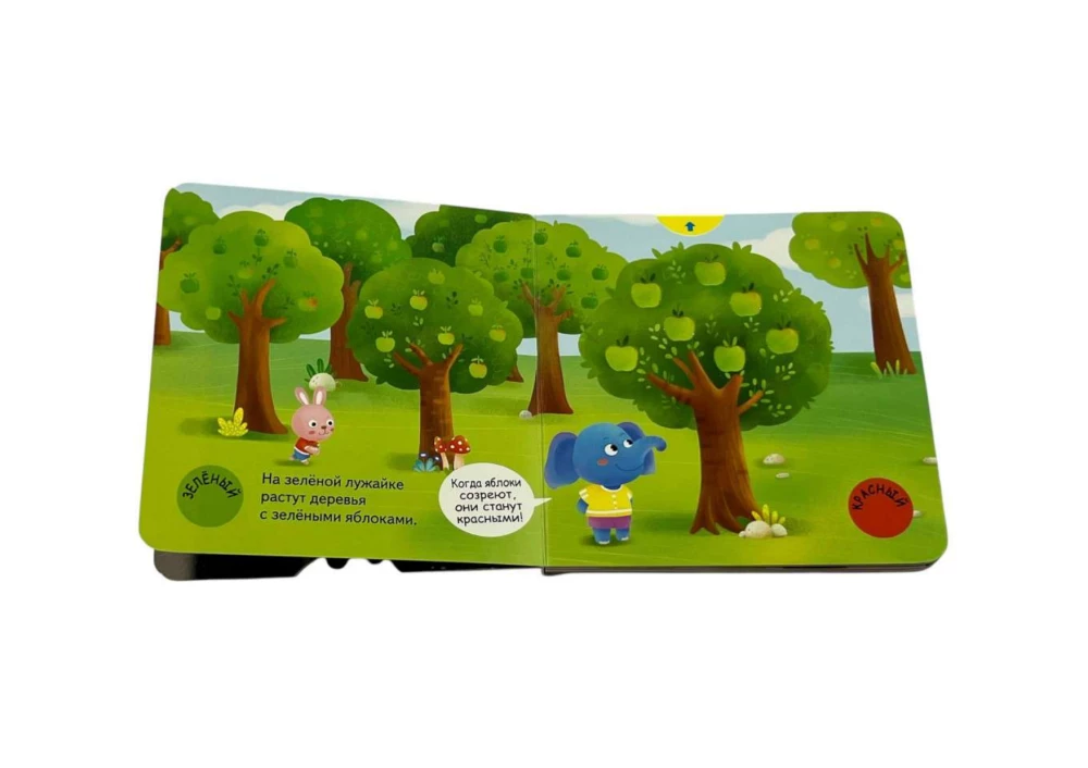 Interactive Book for Toddlers - Different Colors