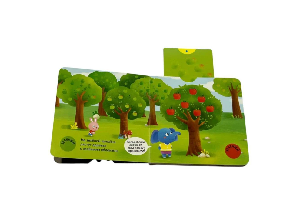 Interactive Book for Toddlers - Different Colors